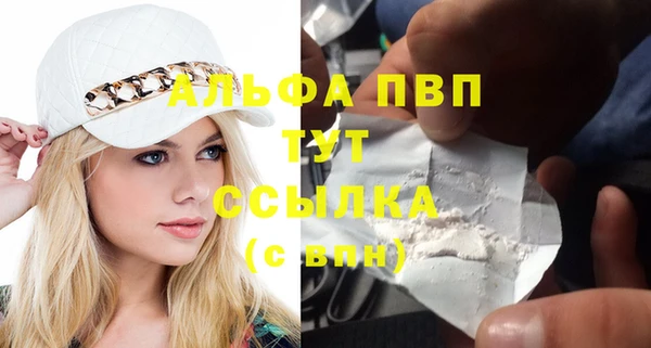 хмурый Абаза