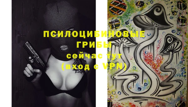 хмурый Абаза