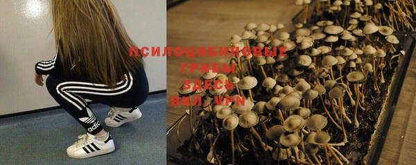 МДПВ Абдулино