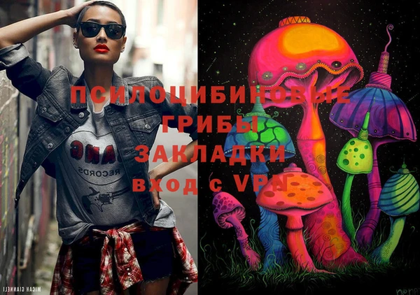 МДПВ Абдулино