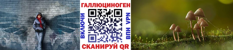 Галлюциногенные грибы мицелий  MEGA   Кизляр 